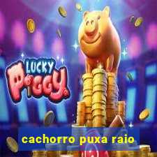 cachorro puxa raio